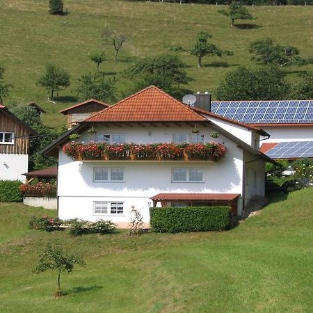 Ferienwohnung Burgblick Seelbach  Bagian luar foto