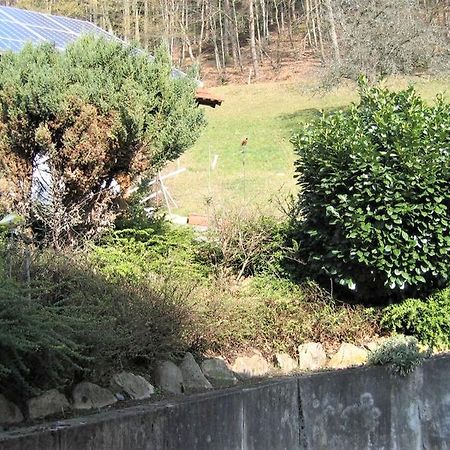 Ferienwohnung Burgblick Seelbach  Bagian luar foto