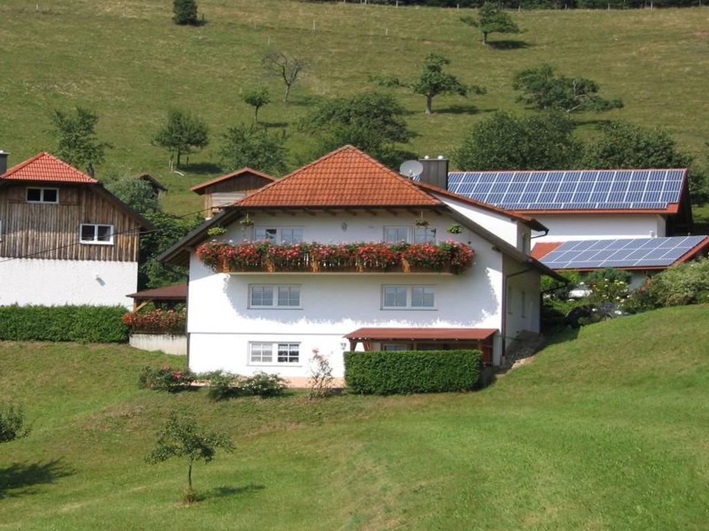 Ferienwohnung Burgblick Seelbach  Bagian luar foto