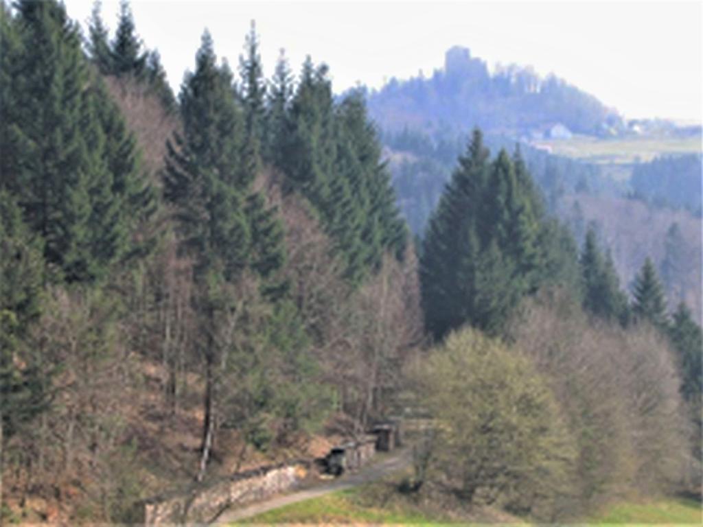 Ferienwohnung Burgblick Seelbach  Bagian luar foto