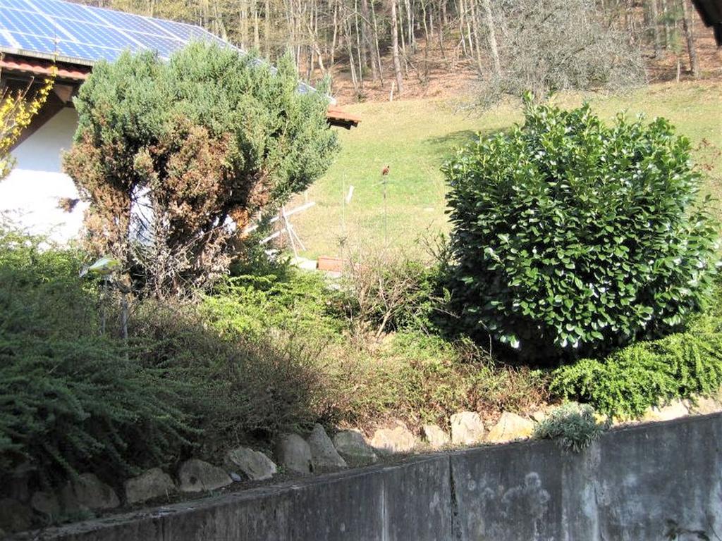 Ferienwohnung Burgblick Seelbach  Bagian luar foto